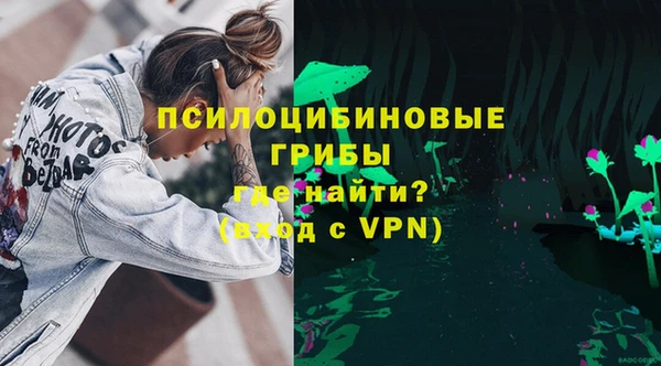 a pvp Дмитриев