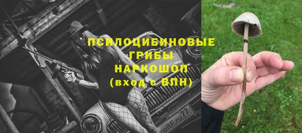 a pvp Дмитриев