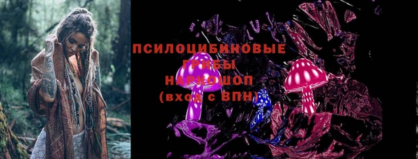 мдпв Дмитровск