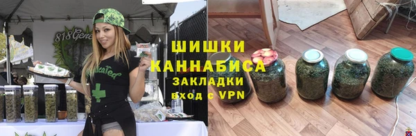 мдпв Дмитровск