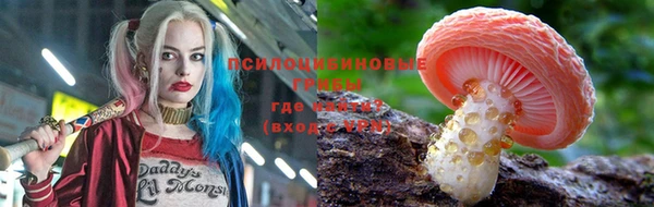 a pvp Дмитриев