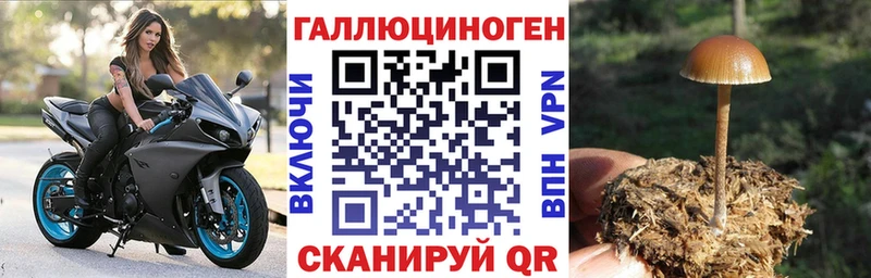 omg как зайти  Оленегорск  Галлюциногенные грибы мицелий 